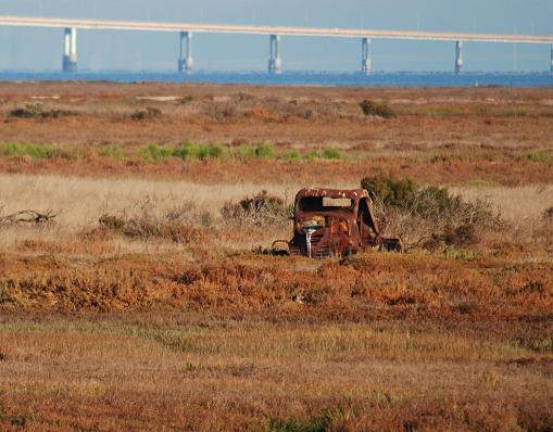 Rusted truck cab in dry grass, front view. Bridge in background