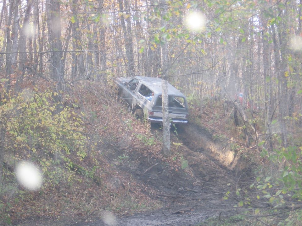 Silver SUV stuck on muddy hill in forest.