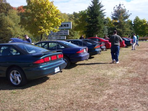 1996 Ford Probe - A line of sports coupes are parked on a grassy lot with trees in the background. The foreground car is a dark green Ford Probe with its rea…