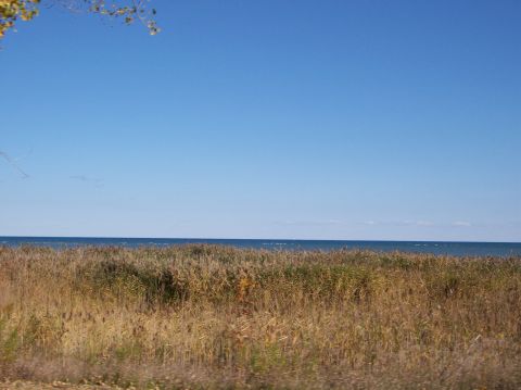 1996 Ford Probe - A wide shot of a bright blue sky over a calm body of water, with tall dry reeds in the foreground.