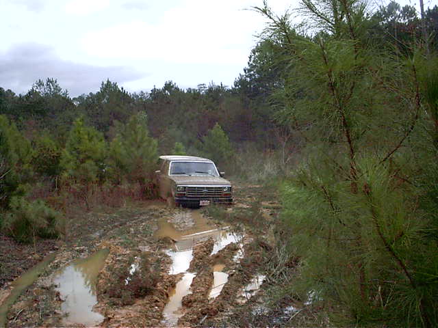 Mud-covered truck driving through a flooded rutted trail in a pine forest