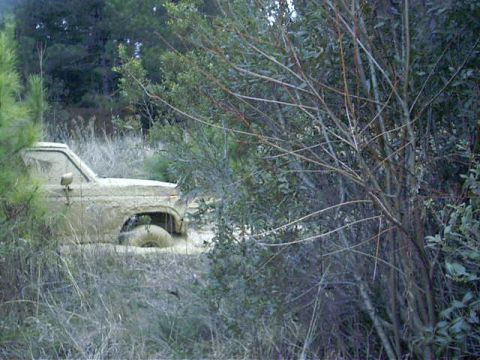 1985 Ford Bronco - Gator food?