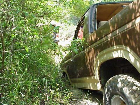 1985 Ford Bronco - A vintage Ford Bronco is seen off-road, with another vehicle visible in the background through the trees.