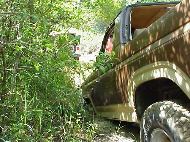 Brown 1980s Ford Bronco with a removable top, partially obscured by foliage
