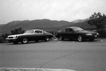 1985 Ford Bronco - last time we crusied together (Dug and I) ahh younger days