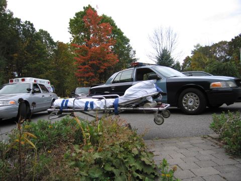 2001 Ford Crown Victoria - Emergency vehicles and a stretcher are parked on a paved area with autumn foliage visible.