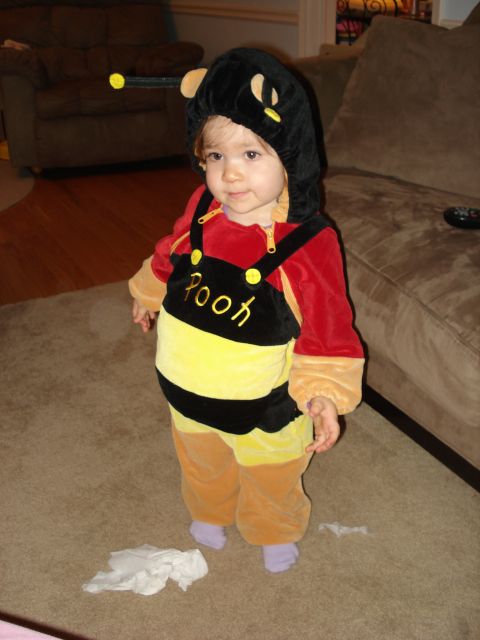 2000 Ford Crown Victoria - A young child dressed as Winnie the Pooh stands on a carpeted floor in front of a couch.