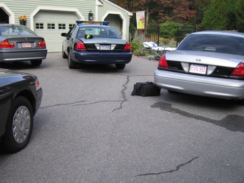 2001 Ford Crown Victoria - Three vehicles, including two Ford Crown Victorias and a BMW, are parked in a driveway.