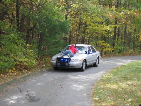2001 Ford Crown Victoria - A person lies on the hood of a silver 2001 Ford Crown Victoria police car parked on a road with trees in the background.
