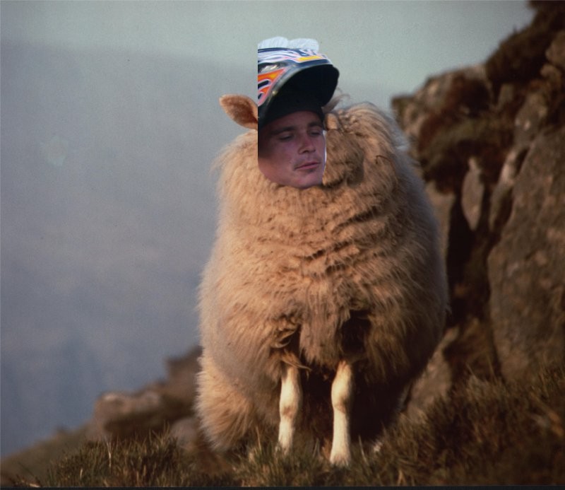 A sheep with a man's face and helmet on its head.