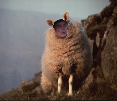 1992 Ford Bronco - A person's face is superimposed onto the body of a sheep standing in a grassy, rocky landscape.