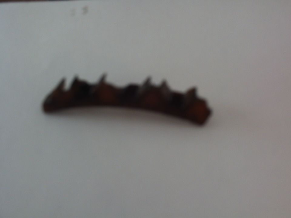 Blurred dark object with pointed projections