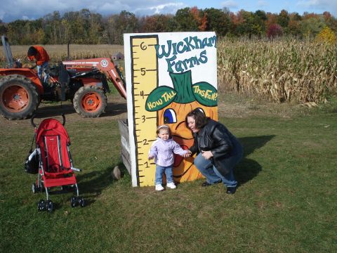 2000 Ford Crown Victoria - A person in an orange jacket is working on a red and orange tractor in a field of corn. A young child and an adult are posing next to a hei…