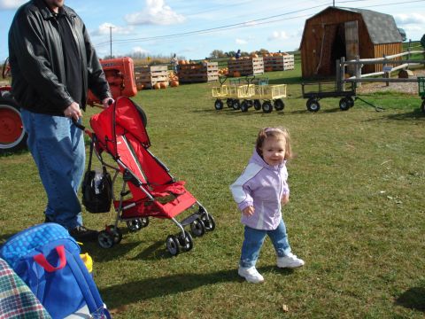 2000 Ford Crown Victoria - A man pushes a stroller near a barn and a tractor. A young girl walks in a grassy field.