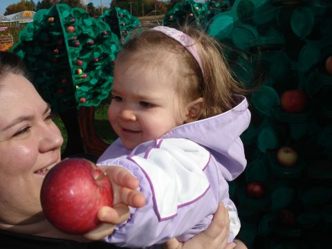 2000 Ford Crown Victoria - A woman holds a baby in front of a display of artificial apple trees.