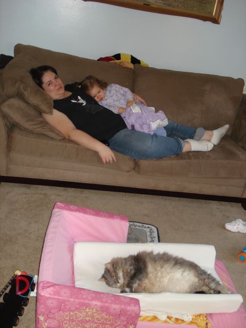 2000 Ford Crown Victoria - A woman and a young child are napping on a brown couch, while a fluffy cat sleeps on a pink and white cushion on the floor.