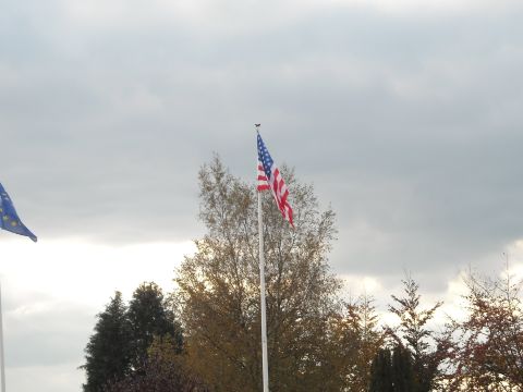 1979 Ford F-150 - American flag flies against a backdrop of trees and overcast skies.