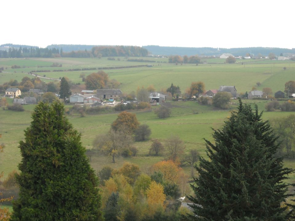 Rural landscape with farm buildings and trees in autumn colors