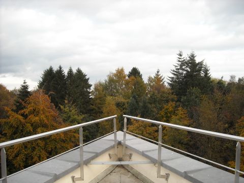 1979 Ford F-150 - A scenic view of a forest in autumn, seen from a balcony with metal railings.