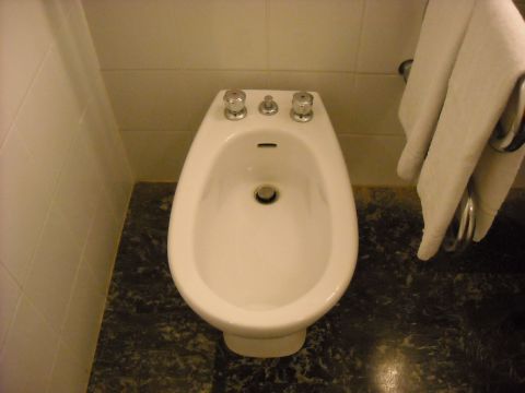 1979 Ford F-150 - A bidet is a plumbing fixture used for washing the genitalia, perineum, inner buttocks, and anus.