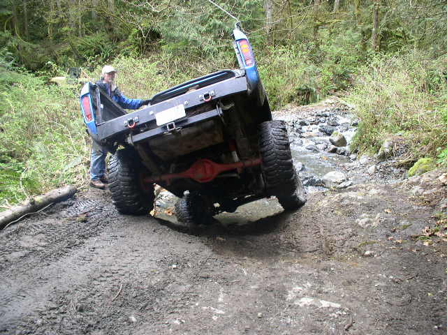 Nose dive in the creek