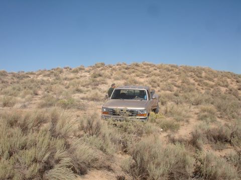 1992 Ford F-350 - A tan 1992 Ford F-350 pickup truck is parked on a dirt path amidst desert brush under a clear blue sky.