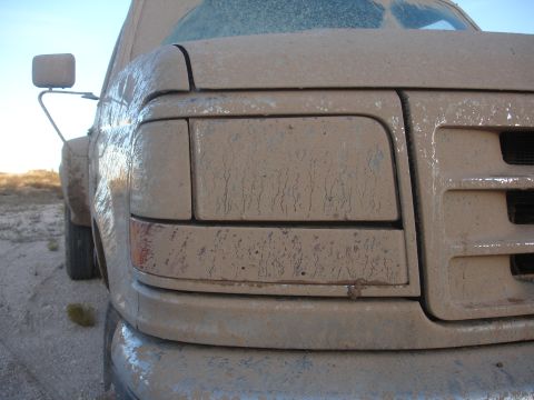 1992 Ford F-350 - This 1992 Ford F-350 is heavily covered in mud, obscuring most details.