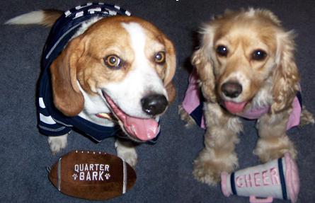 1991 Ford Bronco - Two dogs dressed in sports-themed outfits are ready for game day with football-themed accessories.
