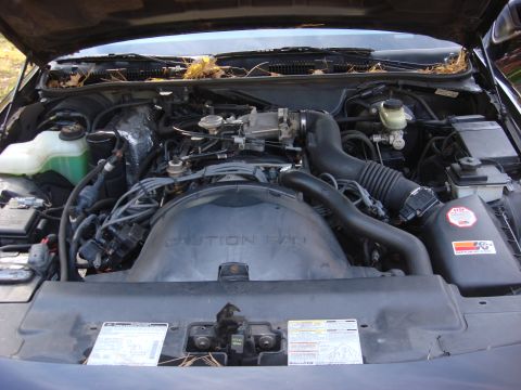 2003 Ford Crown Victoria - The engine bay of a vehicle is shown with the hood open, revealing the engine components and wiring.