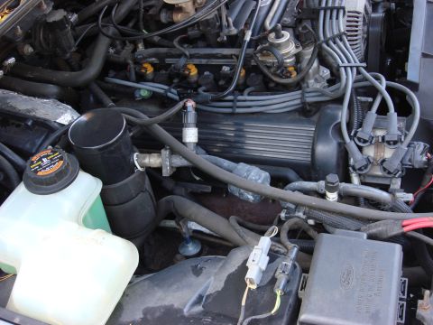 2003 Ford Crown Victoria - Close-up view of a Ford V8 engine, showing the intricate network of hoses, wires, and engine components.