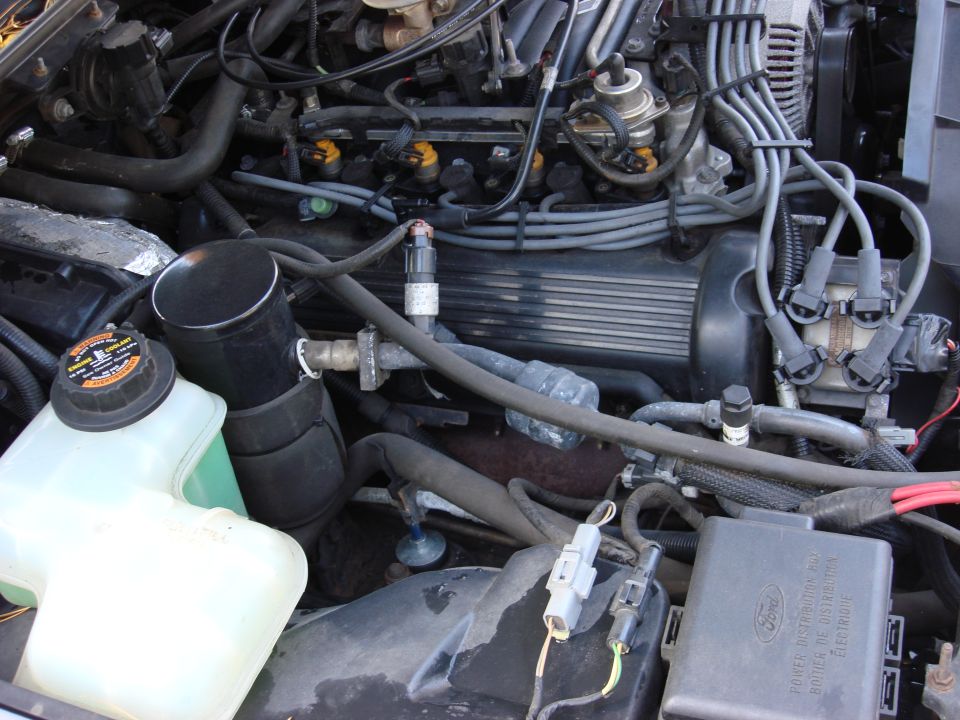 Engine bay with V8 engine, coolant reservoir, and various hoses and wires