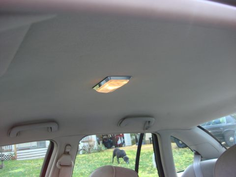2003 Ford Crown Victoria - The interior of a 2003 Ford Crown Victoria, with a view of the headliner and a dog outside.