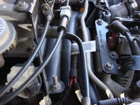 2003 Ford Crown Victoria photo