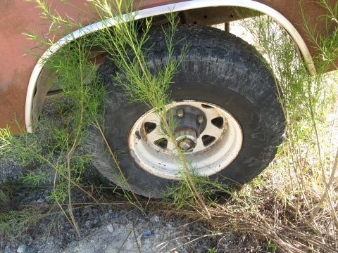1979 Ford Bronco - A close-up of a vehicle's wheel well and tire, partially obscured by weeds, with a Supermotors.net watermark.