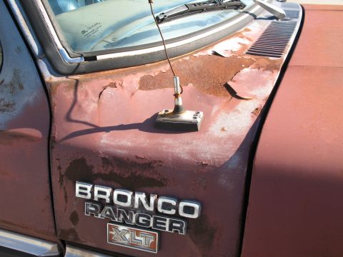 1979 Ford Bronco - The fender badge clearly reads 'Bronco Ranger XLT', confirming the vehicle's identity and model year.