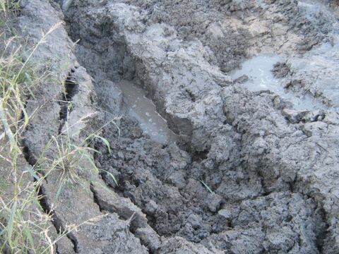 1990 Ford Bronco - Tire tracks are visible in the muddy terrain, suggesting a vehicle has passed through this area.