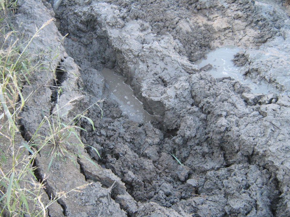 Muddy terrain with tire tracks and a small puddle
