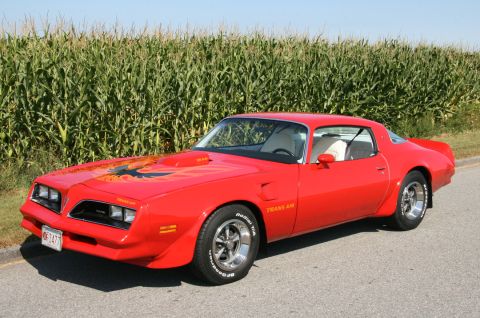 1977 Pontiac Trans Am - Summer 2008, Danvers Corn Fields