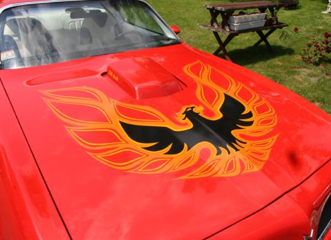 1977 Pontiac Trans Am - Hood Bird
