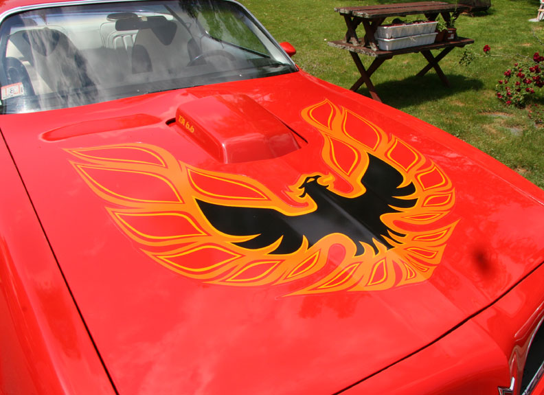 Black and orange phoenix decal on the hood of a red Trans Am