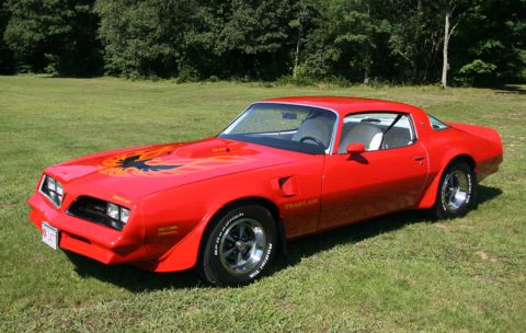 1977 Pontiac Trans Am - Skip's, Merrimac, MA, August 2008