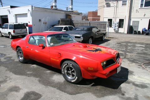 1977 Pontiac Firebird photo