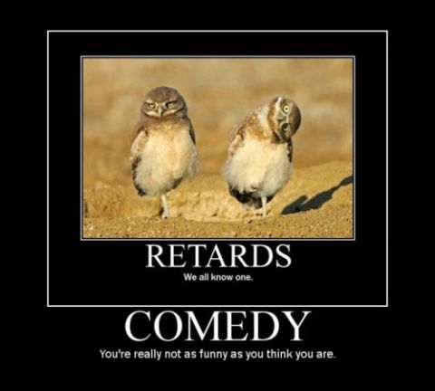 1971 Ford Ranchero - A meme two owls with text overlays that read "RETARDS" and "COMEDY".