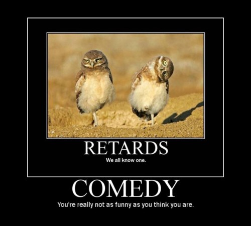 Two owls stand on dirt, one looking forward with a stern expression, the other tilted