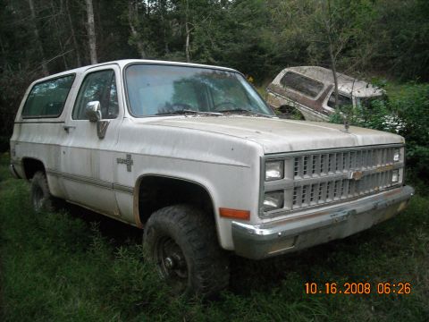 1979 Ford Bronco photo