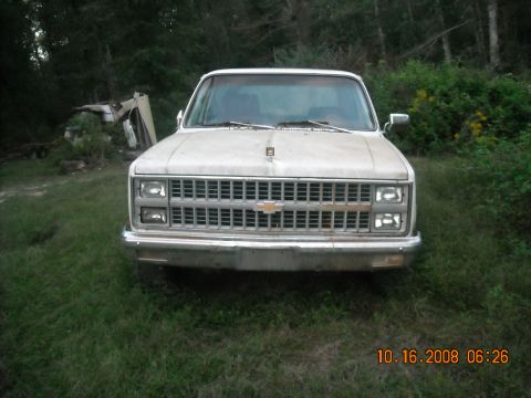 1979 Ford Bronco photo