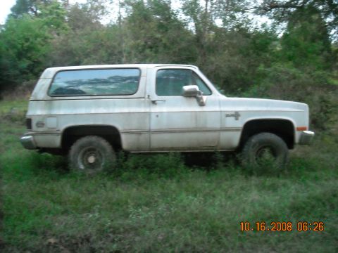 1979 Ford Bronco photo