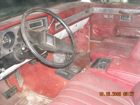 1979 Ford Bronco photo