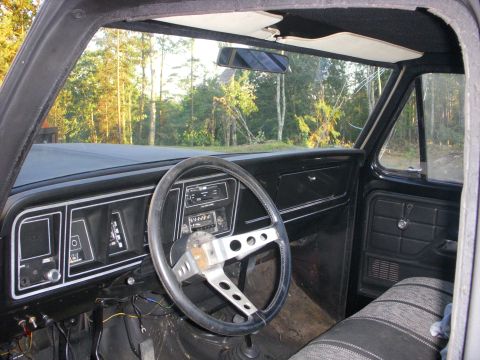 1979 Ford F-150 photo