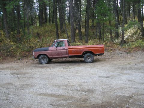 1979 Ford F-150 photo